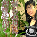 C0930 ki220623  Mr Natsu who has a charming smile is a wife who is erotic and has a good taste