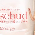 Kin8tengoku 金8天国 3433 それはバラのつぼみのような愛らしいアナル 私のアナルで感じてください Rosebud Monroe / モンロー